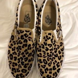Cheetah vans